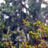 線状降水帯とは？梅雨前線やゲリラ豪雨との違いを分かりやすく解説！